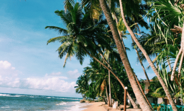 Bocas del Toro y Panamá: Dual